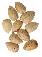 Almond Nuts