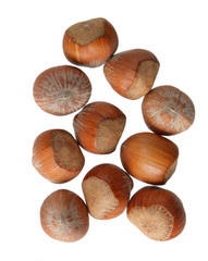 Hazelnut