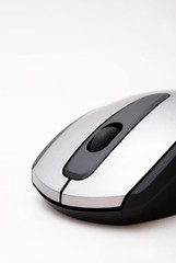 mouse - maus
