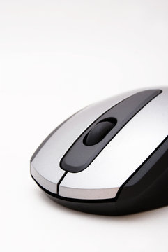 mouse - maus
