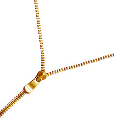 Silver zipper © Le Do