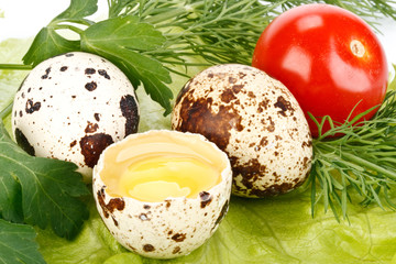 Fresh quail eggs