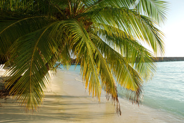 Fototapeta na wymiar Meeru Island, Malediwy