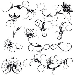 Decorative Floral Design Elements