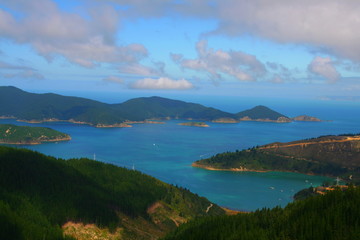 Oyster bay, close to Picton