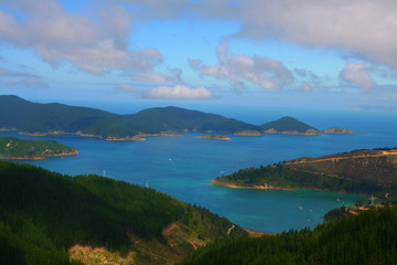 Fototapeta premium Oyster bay, close to Picton