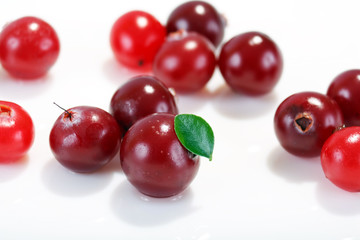 cranberries