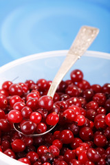 cranberries