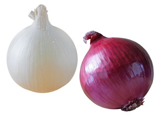 Onion bulbs