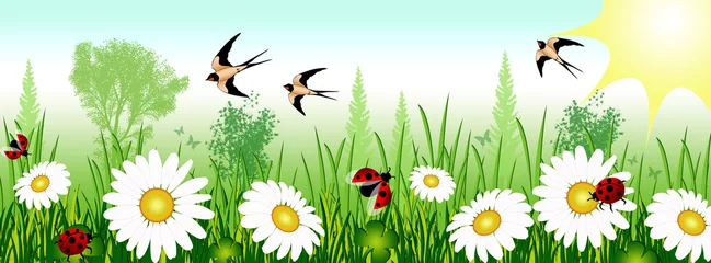 Foto auf Leinwand Frühling mit Gänseblümchen, Marienkäfern und Schwalben © Vanessa