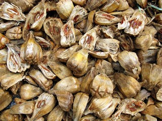 Dried fruits for medical use in Vietnam