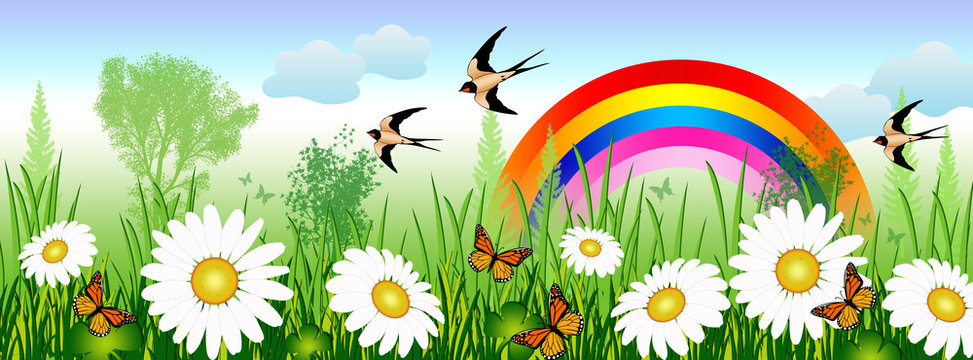 Spring time with daisies, butterflies, swallows and a rainbow