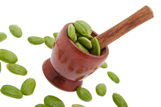 Sator mit M&ouml;rser