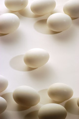 Fototapeta na wymiar Sfondo di uova