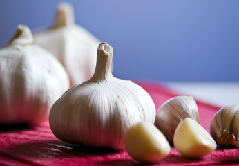 garlic