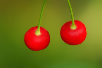 two cherries