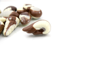 chocolate sweetmeats in form seashell on white background