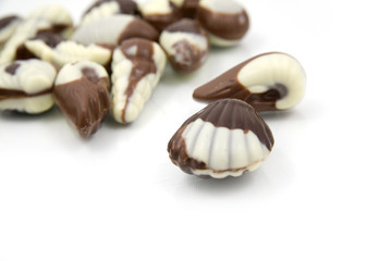 chocolate sweetmeats in form seashell on white background