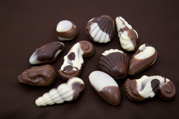 chocolate sweetmeats in form seashell