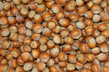 hazelnuts
