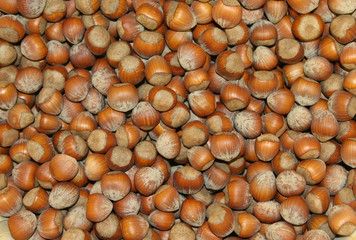 hazelnuts