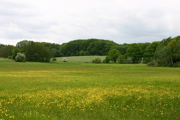 Brandenburger Landschaft