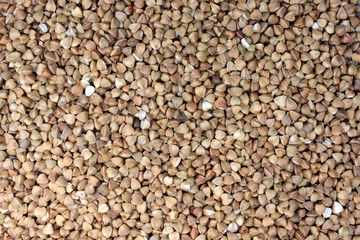 Buckwheat