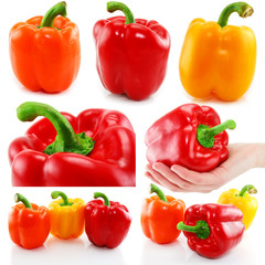 Collection of colored paprika isolated