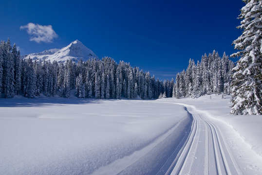 Winter In Den Bergen