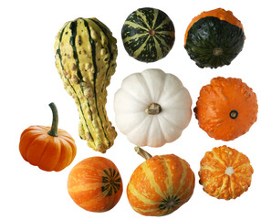 Gourds