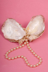 Open oyster shell and white pearl necklace on pink background. Vertical photo and copy space.