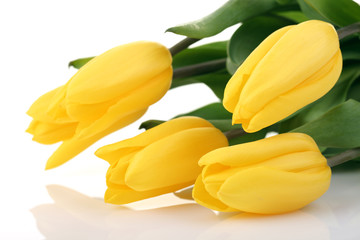 Obraz premium Spring Flowers Tulips