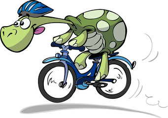 cycling turtle