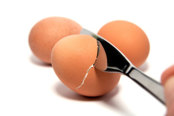 open egg
