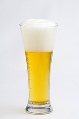 fresh cold and tasty beer