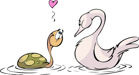 turtle loves swan