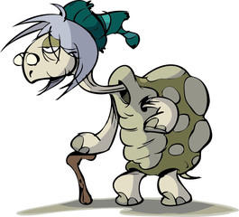 grandma turtle