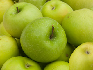 Apples green