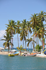PLAGE  sainte lucie GRENADINES