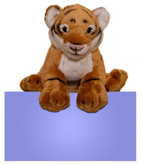 tigre message bleu