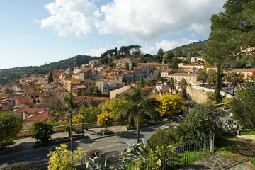 Obraz premium bormes les mimosas