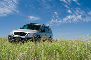 Obraz na płótnie Canvas samochód na zielonym polu