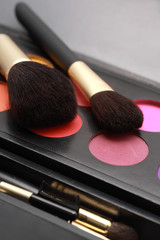 Cosmetic brushes and makeup colors