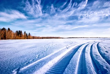 Photo sur Plexiglas Hiver tracks in snow