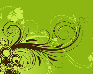 Floral abstraction for design.