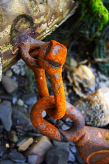 Rouille