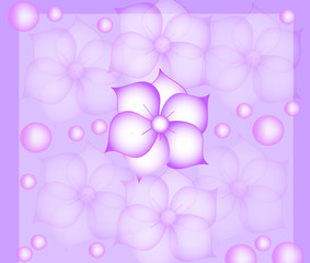 background make of flower