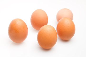 Eggs