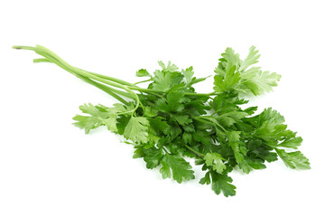 Fresh parsley spice