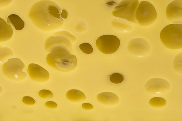 Cheese